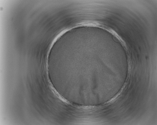 X0000085251240200703231641