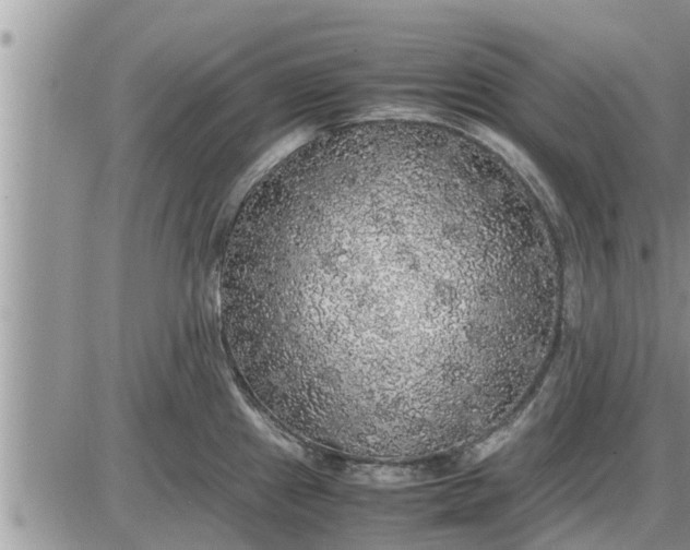 X0000085251241200703231641