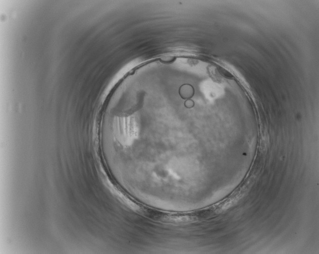 X0000085251243200703231641