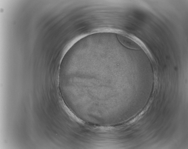 X0000085251244200703231642