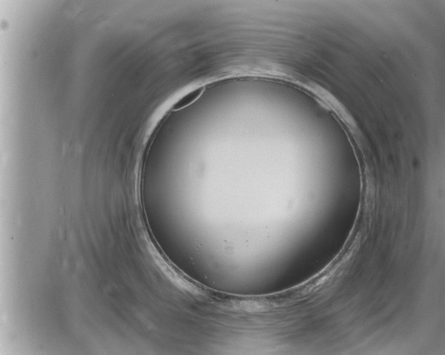 X0000085251246200703231642