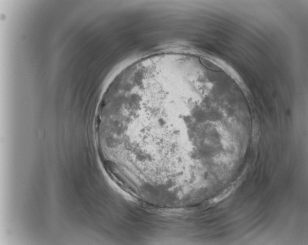 X0000085251247200703231642