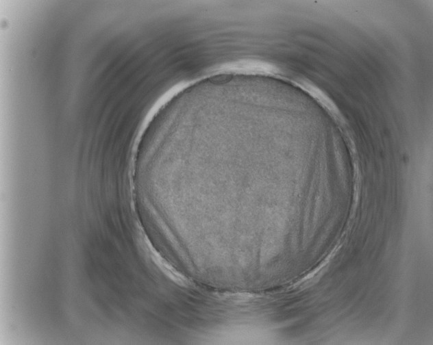 X0000085251248200703231642