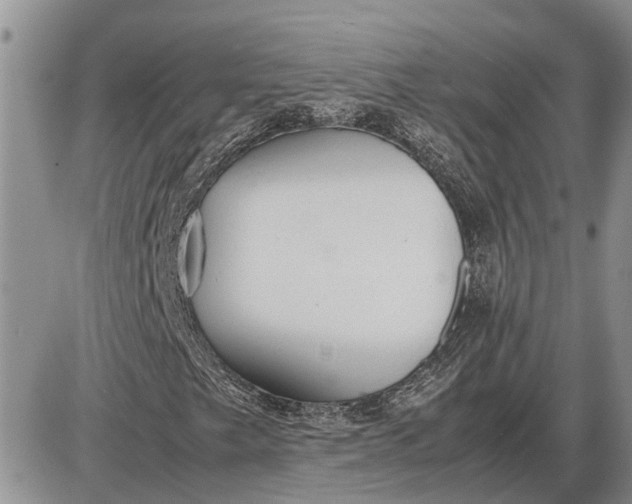 X0000085251249200703231641