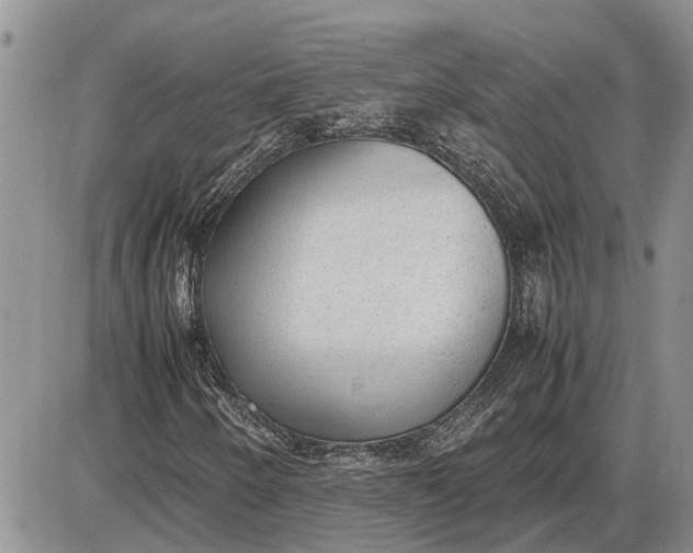 X0000085251250200703231641