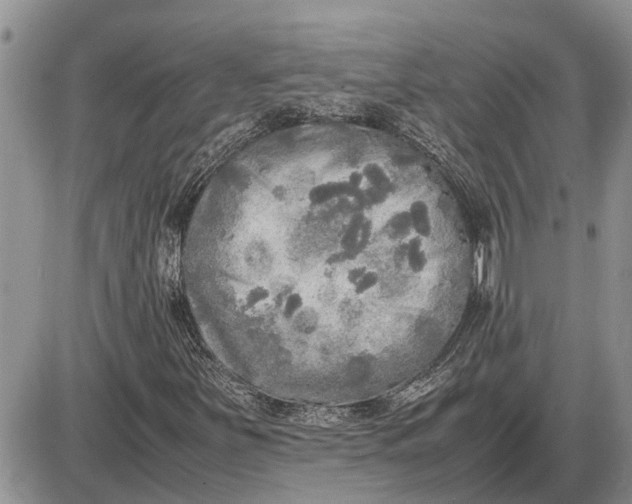 X0000085251251200703231641