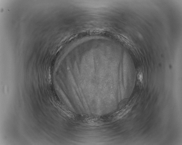 X0000085251252200703231641