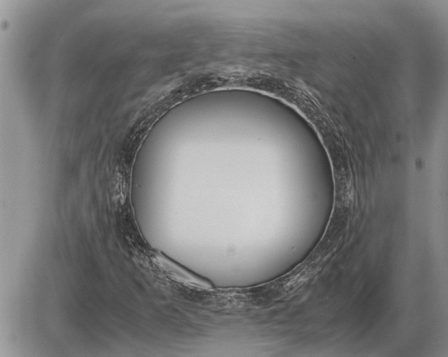 X0000085251253200703231641