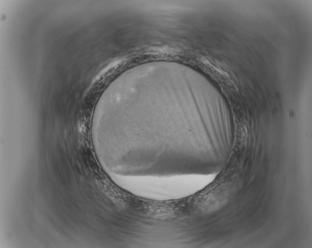 X0000085251254200703231641