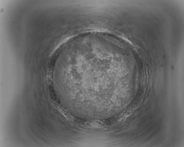 X0000085251255200703231641