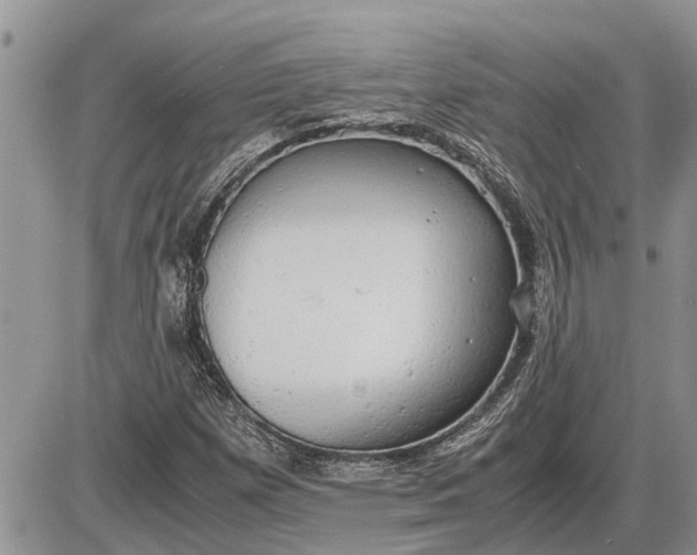 X0000085251257200703231641