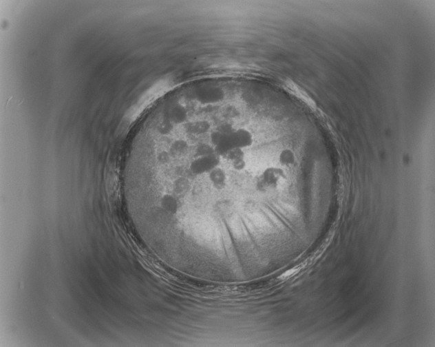 X0000085251259200703231641