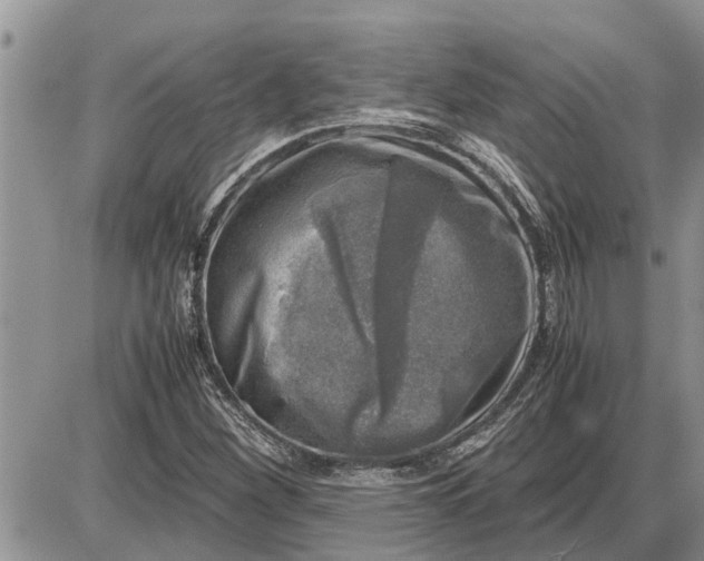 X0000085251260200703231641