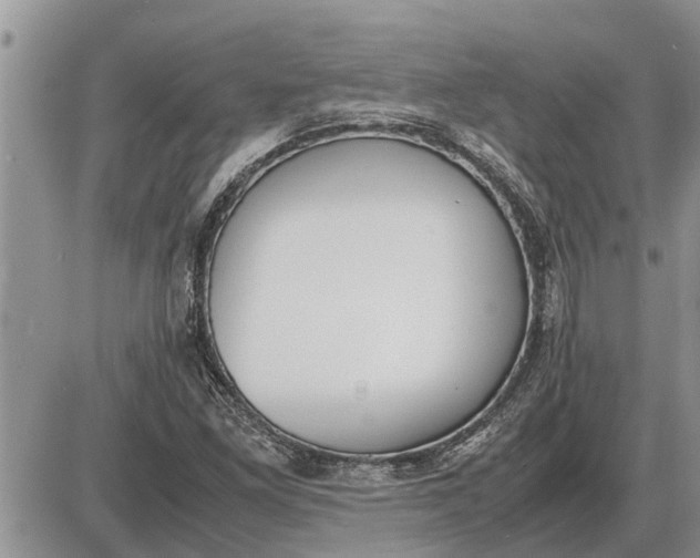 X0000085251261200703231641