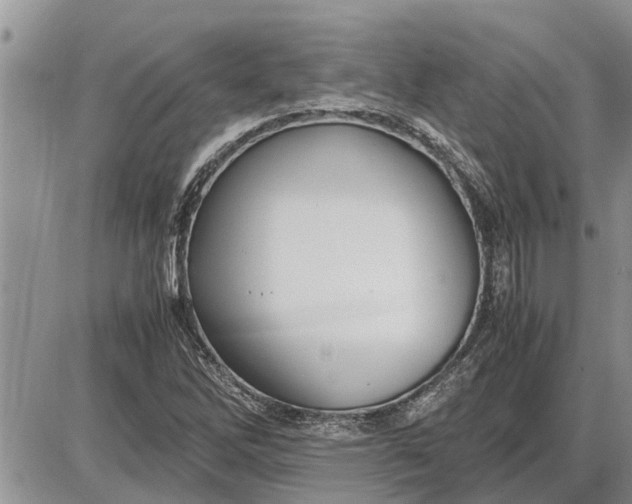 X0000085251262200703231641