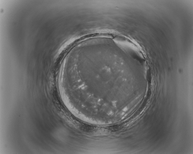 X0000085251263200703231641