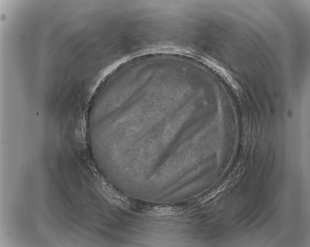 X0000085251264200703231641