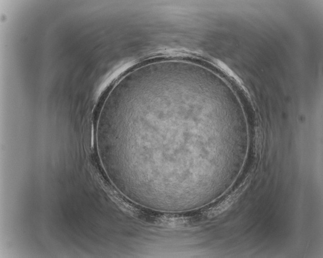 X0000085251269200703231640