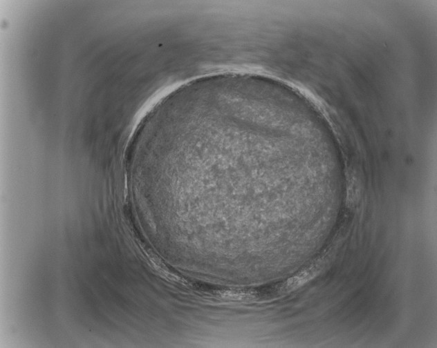 X0000085251271200703231640