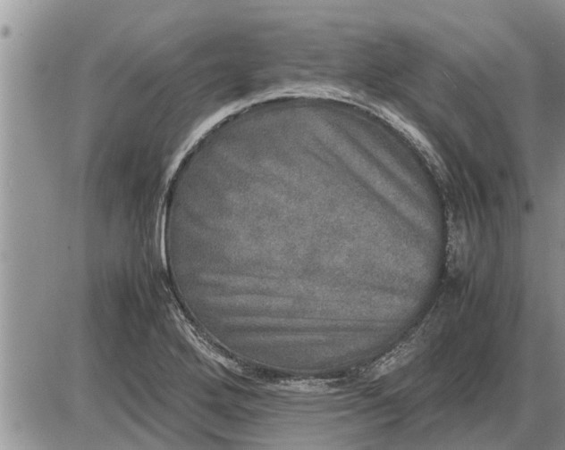 X0000085251272200703231640