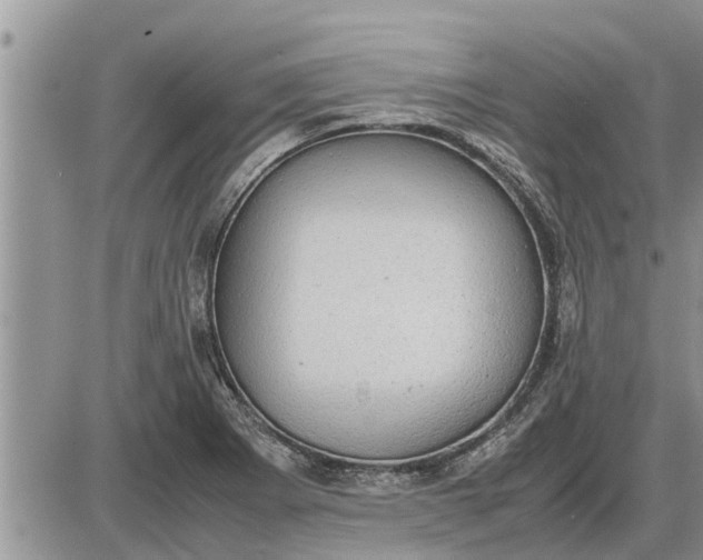 X0000085251273200703231640