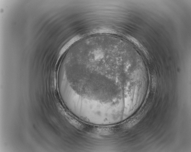 X0000085251274200703231640