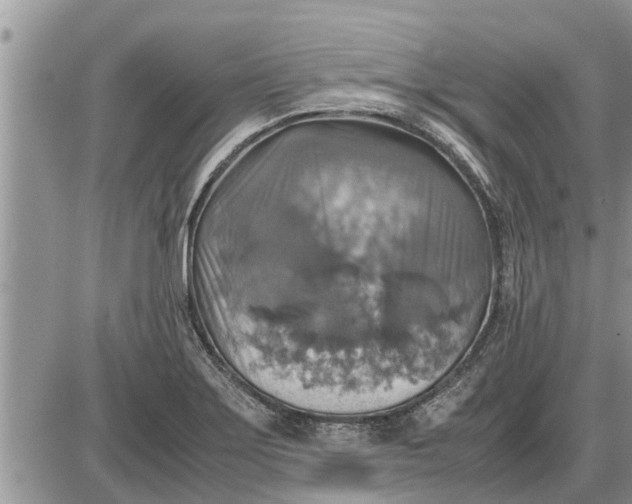 X0000085251275200703231640