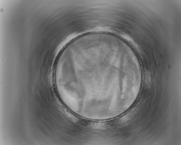 X0000085251278200703231640