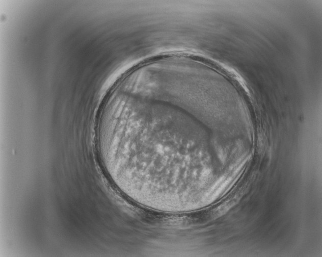 X0000085251279200703231640