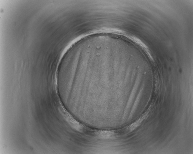 X0000085251280200703231640