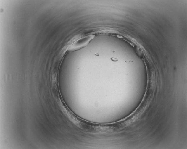 X0000085251281200703231640