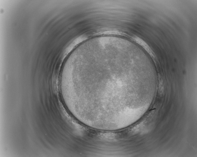 X0000085251282200703231640