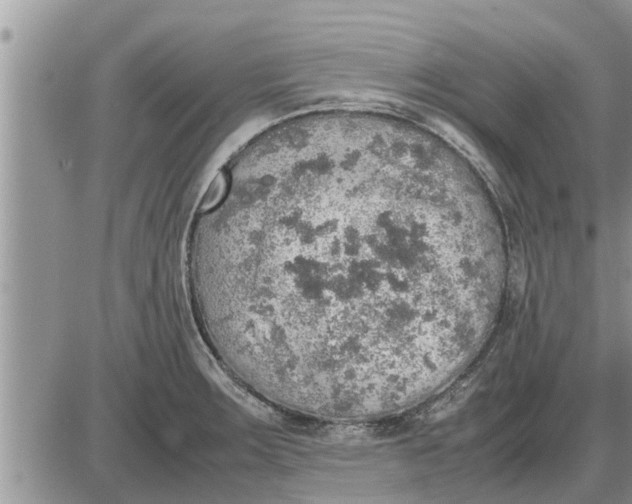 X0000085251283200703231640