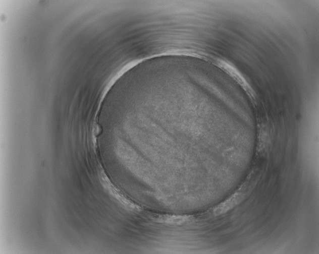 X0000085251284200703231640