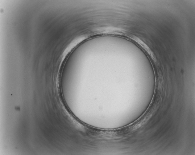 X0000085251285200703231640