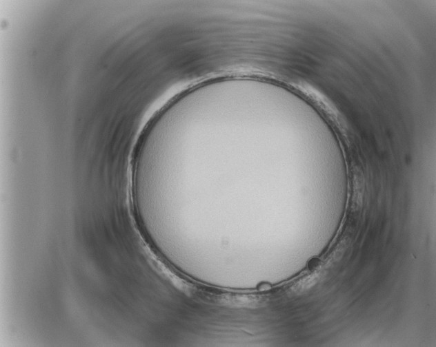 X0000085251286200703231640