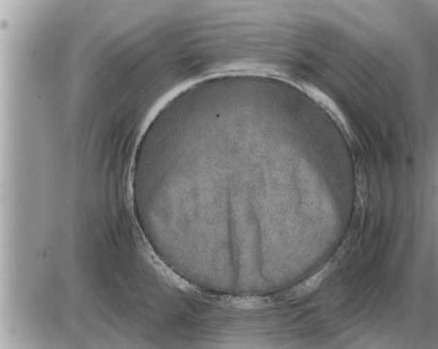 X0000085251288200703231640