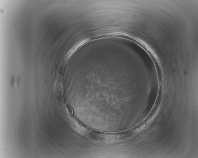 X0000085251289200703231640