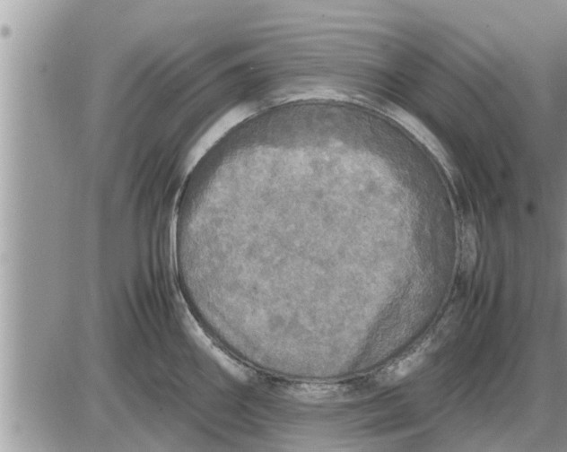 X0000085251290200703231640