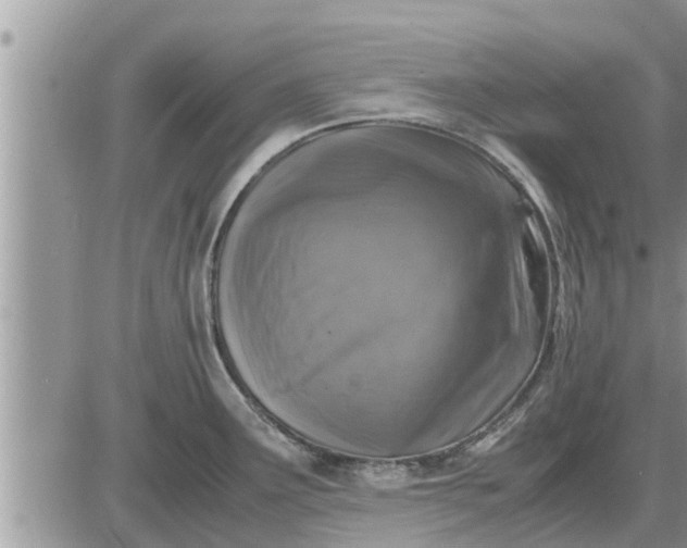 X0000085251291200703231640