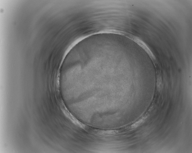 X0000085251292200703231640