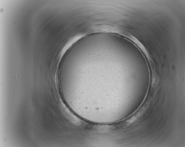 X0000085251293200703231640