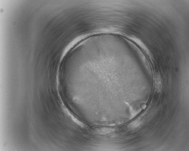 X0000085251294200703231640