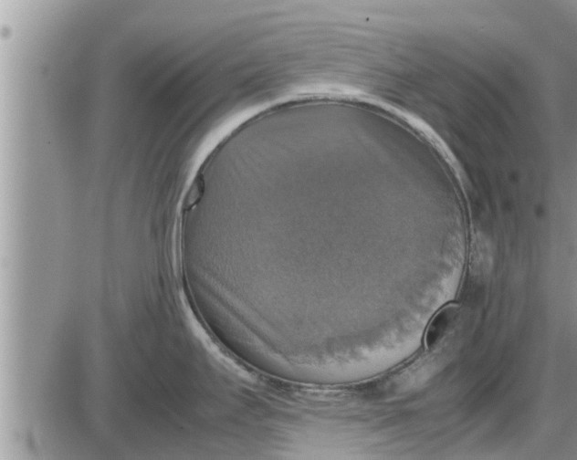 X0000085251295200703231640