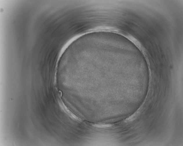 X0000085251296200703231640