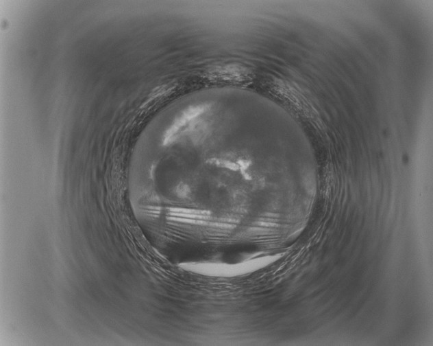 X0000085251297200703231639