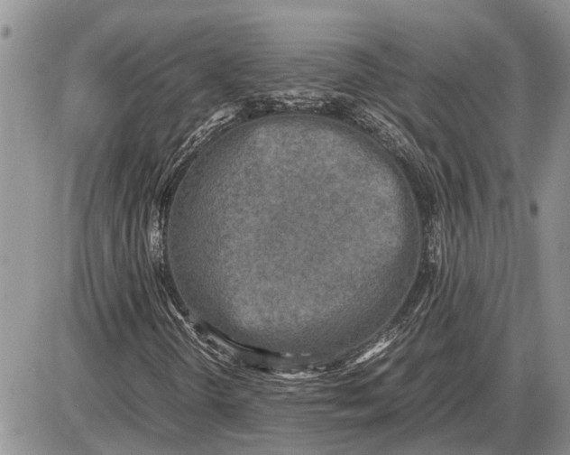 X0000085251298200703231639