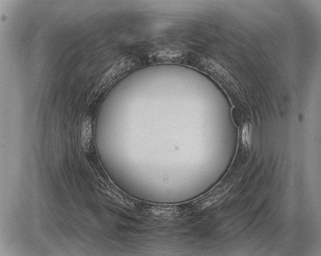 X0000085251299200703231639