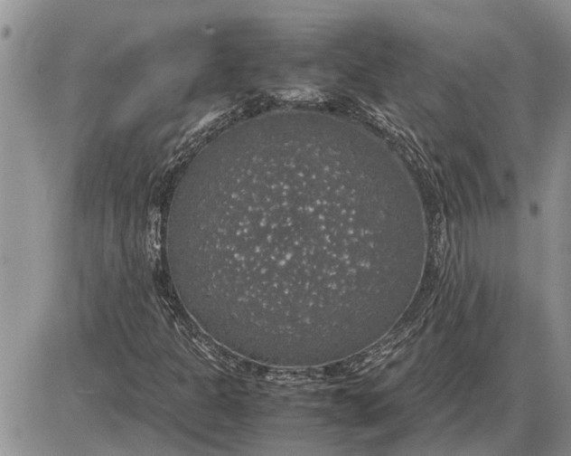 X0000085251301200703231639