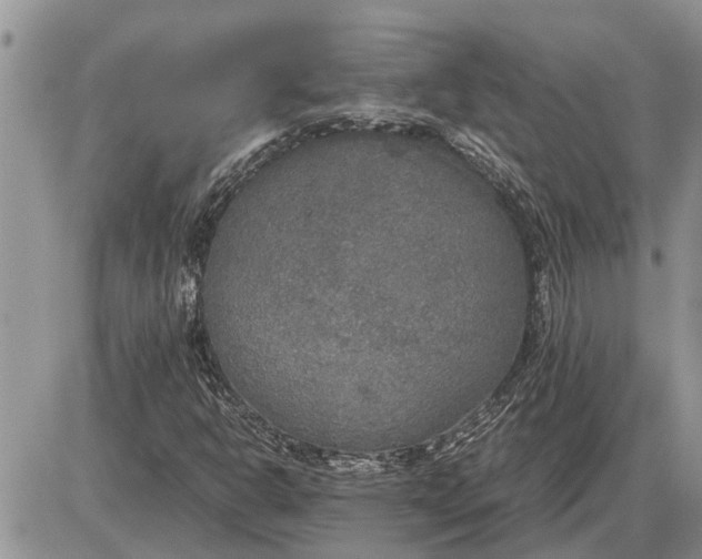 X0000085251302200703231639